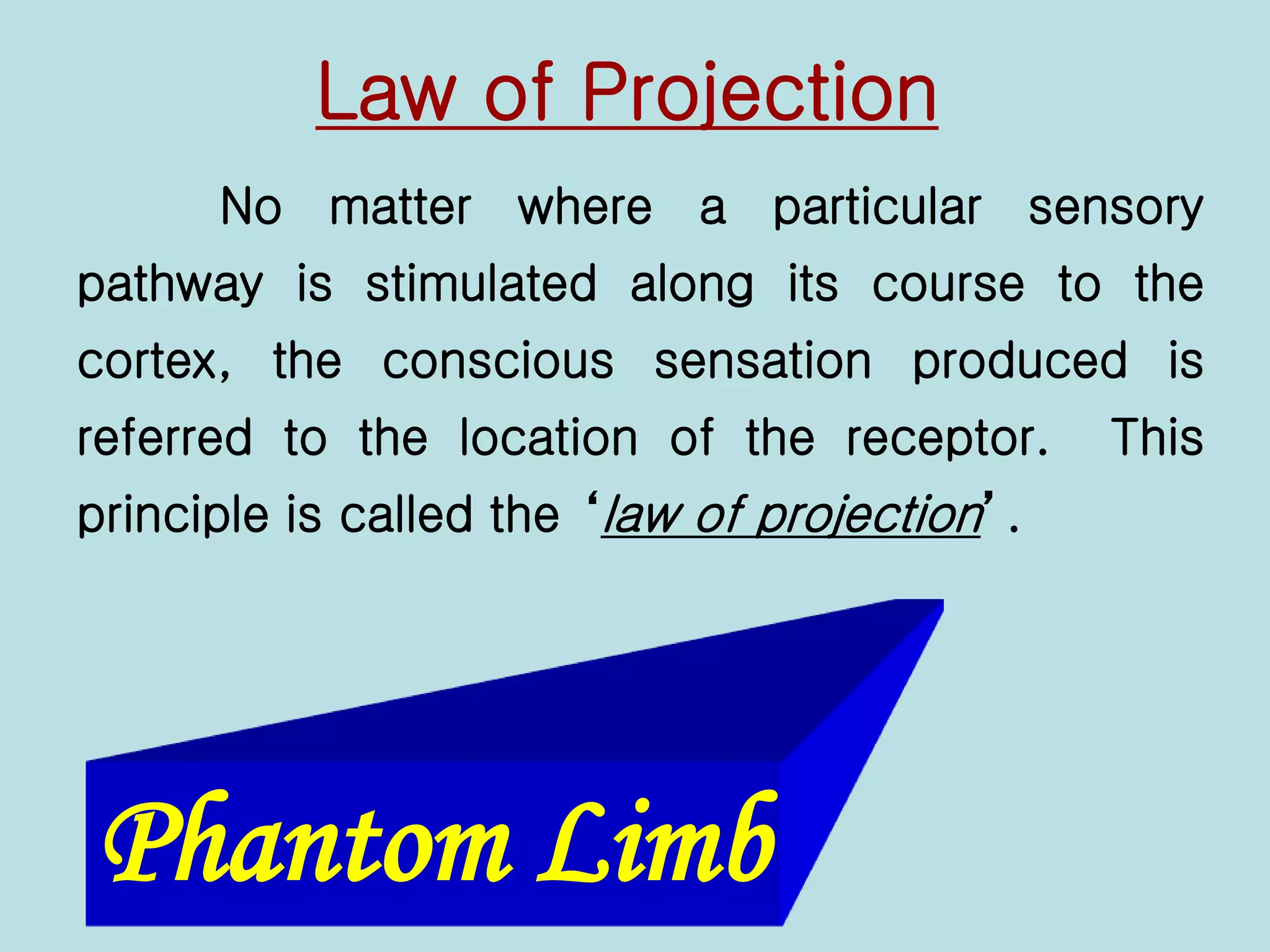 Law of Projection
No matter where a particular sensory
pathway is stimulated along its course to the
cortex, the conscious sensation produced is
referred to the location of the receptor. This
principle is called the ‘law of projection’.
Phantom Limb
 