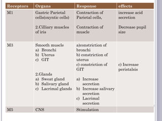 Receptors Organs Response effects
M1 Gastric Parietal
cells(oxyntic cells)
2.Cilliary muscles
of iris
Contraction of
Parietal cells,
Contraction of
muscle
increase acid
secretion
Decrease pupil
size
M3 Smooth muscle
a) Bronchi
b) Uterus
c) GIT
2.Glands
a) Sweat gland
b) Salivary gland
c) Lacrimal glands
a)constriction of
bronchi
b) constriction of
uterus
c) constriction of
GIT
a) Increase
secretion
b) Increase salivary
secretion
c) Lacrimal
secretion
c) Increase
peristalsis
M5 CNS Stimulation
 