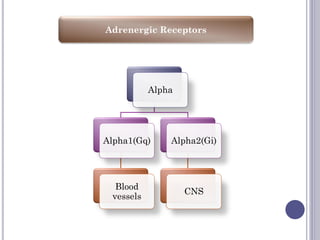 Adrenergic Receptors
Alpha
Alpha1(Gq)
Blood
vessels
Alpha2(Gi)
CNS
 