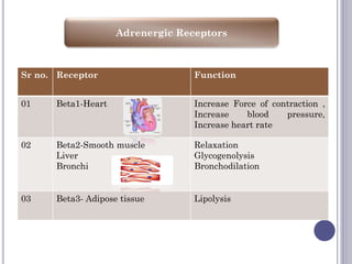 Adrenergic Receptors
Sr no. Receptor Function
01 Beta1-Heart Increase Force of contraction ,
Increase blood pressure,
Increase heart rate
02 Beta2-Smooth muscle
Liver
Bronchi
Relaxation
Glycogenolysis
Bronchodilation
03 Beta3- Adipose tissue Lipolysis
 