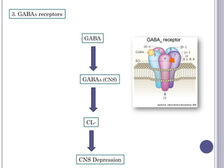 3. GABAA receptors
GABA
GABAA (CNS)
CL-
CNS Depression
 
