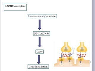 4.NMDA receptors
Aspartate and glutamate
NMDA(CNS)
Ca++
CNS Stimulation
 
