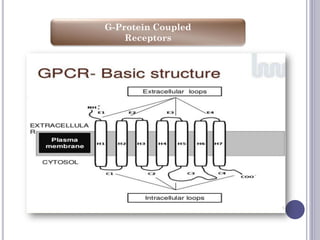 G-Protein Coupled
Receptors
 