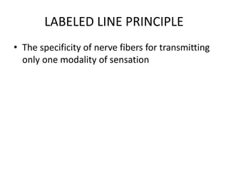 Receptors 21.06.2023 physiology CNS-1.pptx