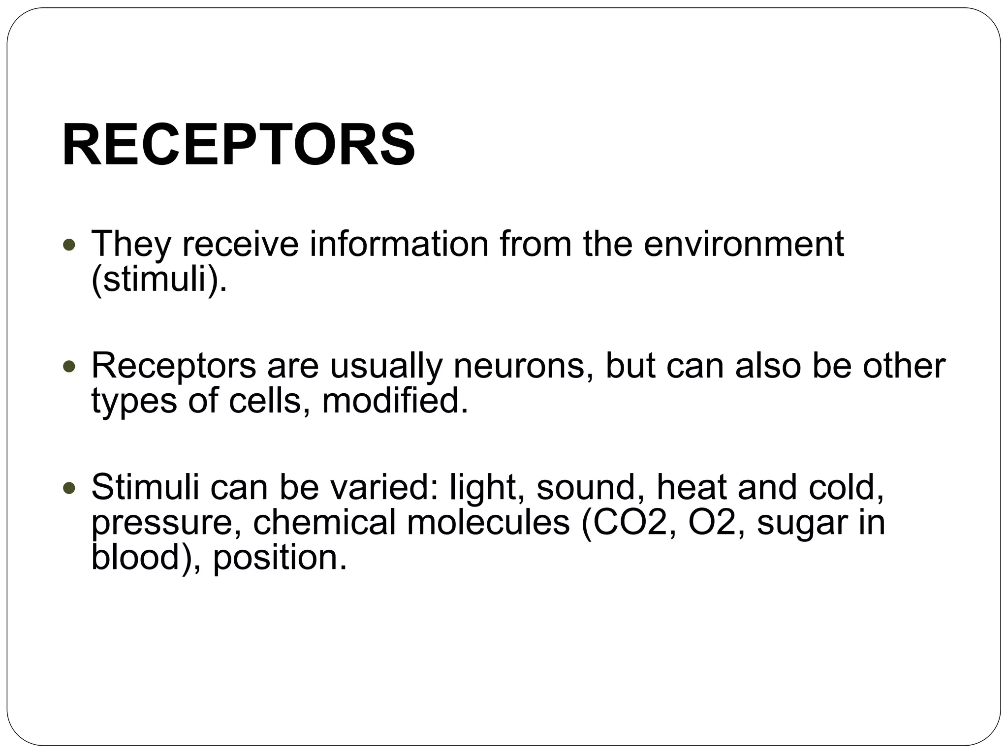 RECEPTORS
 They receive information from the environment
(stimuli).
 Receptors are usually neurons, but can also be other
types of cells, modified.
 Stimuli can be varied: light, sound, heat and cold,
pressure, chemical molecules (CO2, O2, sugar in
blood), position.
 
