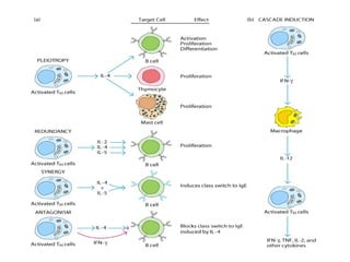 RECEPTORS AND SIGNALING ; CYTOKINES .ppt