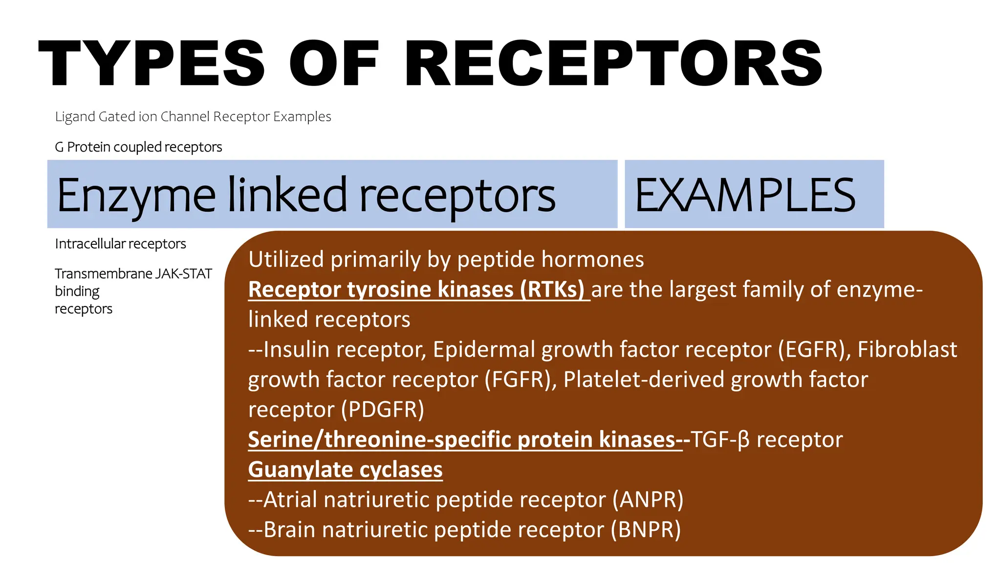 TYPES OF RECEPTORS
Ligand Gated ion Channel Receptor Examples
G Protein coupled receptors
Enzyme linked receptors
Intracellular receptors
Utilized primarily by peptide hormones
Receptor tyrosine kinases (RTKs) are the largest family of enzyme-
linked receptors
--Insulin receptor, Epidermal growth factor receptor (EGFR), Fibroblast
growth factor receptor (FGFR), Platelet-derived growth factor
receptor (PDGFR)
Serine/threonine-specific protein kinases--TGF-β receptor
Guanylate cyclases
--Atrial natriuretic peptide receptor (ANPR)
--Brain natriuretic peptide receptor (BNPR)
EXAMPLES
Transmembrane JAK-STAT
binding
receptors
 