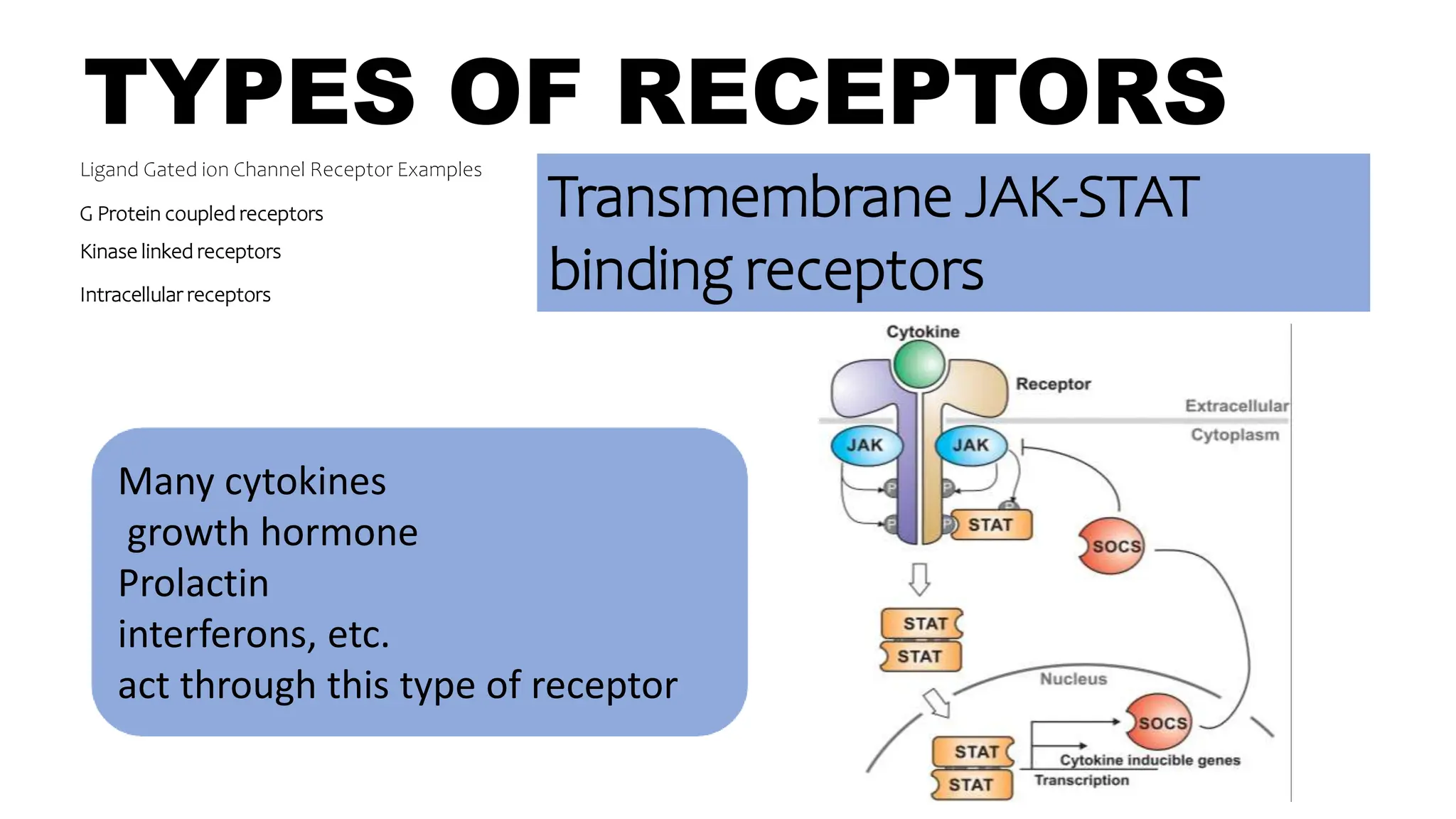 TYPES OF RECEPTORS
Ligand Gated ion Channel Receptor Examples
G Protein coupled receptors
Kinase linked receptors
Intracellular receptors
Transmembrane JAK-STAT
binding receptors
Many cytokines
growth hormone
Prolactin
interferons, etc.
act through this type of receptor
 