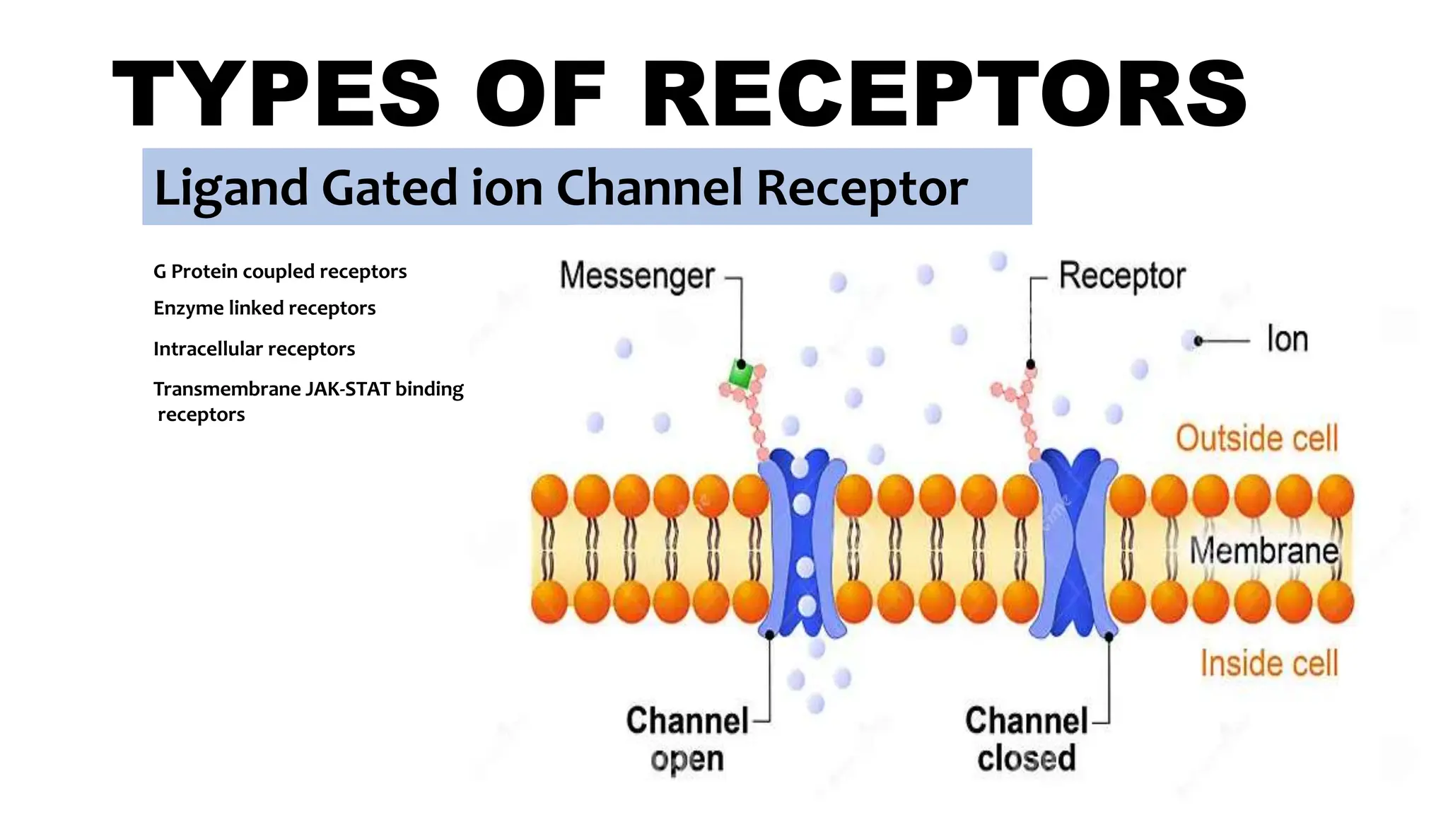 TYPES OF RECEPTORS
Ligand Gated ion Channel Receptor
G Protein coupled receptors
Enzyme linked receptors
Intracellular receptors
Transmembrane JAK-STAT binding
receptors
 