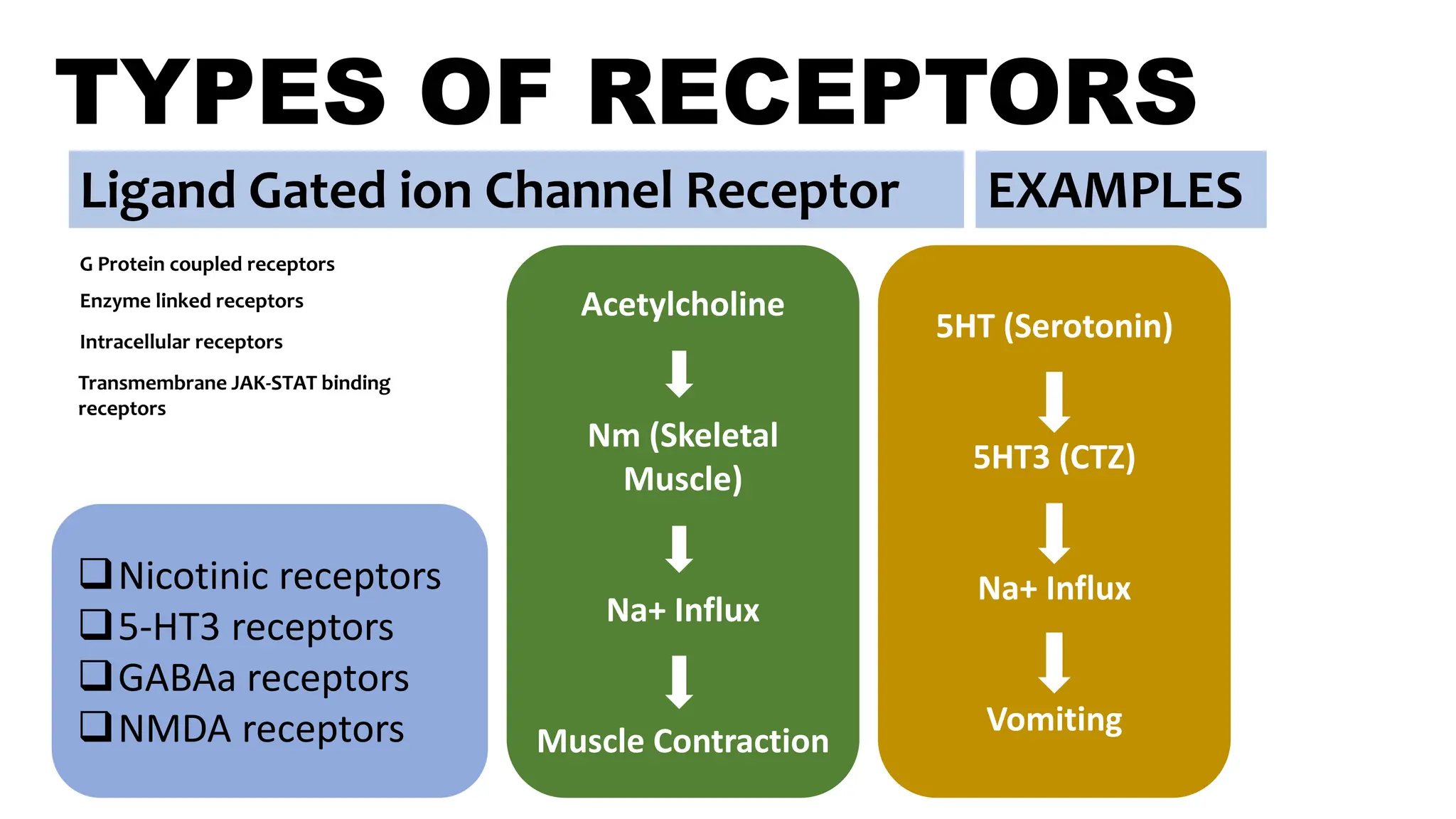 TYPES OF RECEPTORS
Ligand Gated ion Channel Receptor
G Protein coupled receptors
Enzyme linked receptors
Intracellular receptors
Nicotinic receptors
5-HT3 receptors
GABAa receptors
NMDA receptors
EXAMPLES
5HT (Serotonin)
5HT3 (CTZ)
Na+ Influx
Vomiting
Acetylcholine
Nm (Skeletal
Muscle)
Na+ Influx
Muscle Contraction
Transmembrane JAK-STAT binding
receptors
 