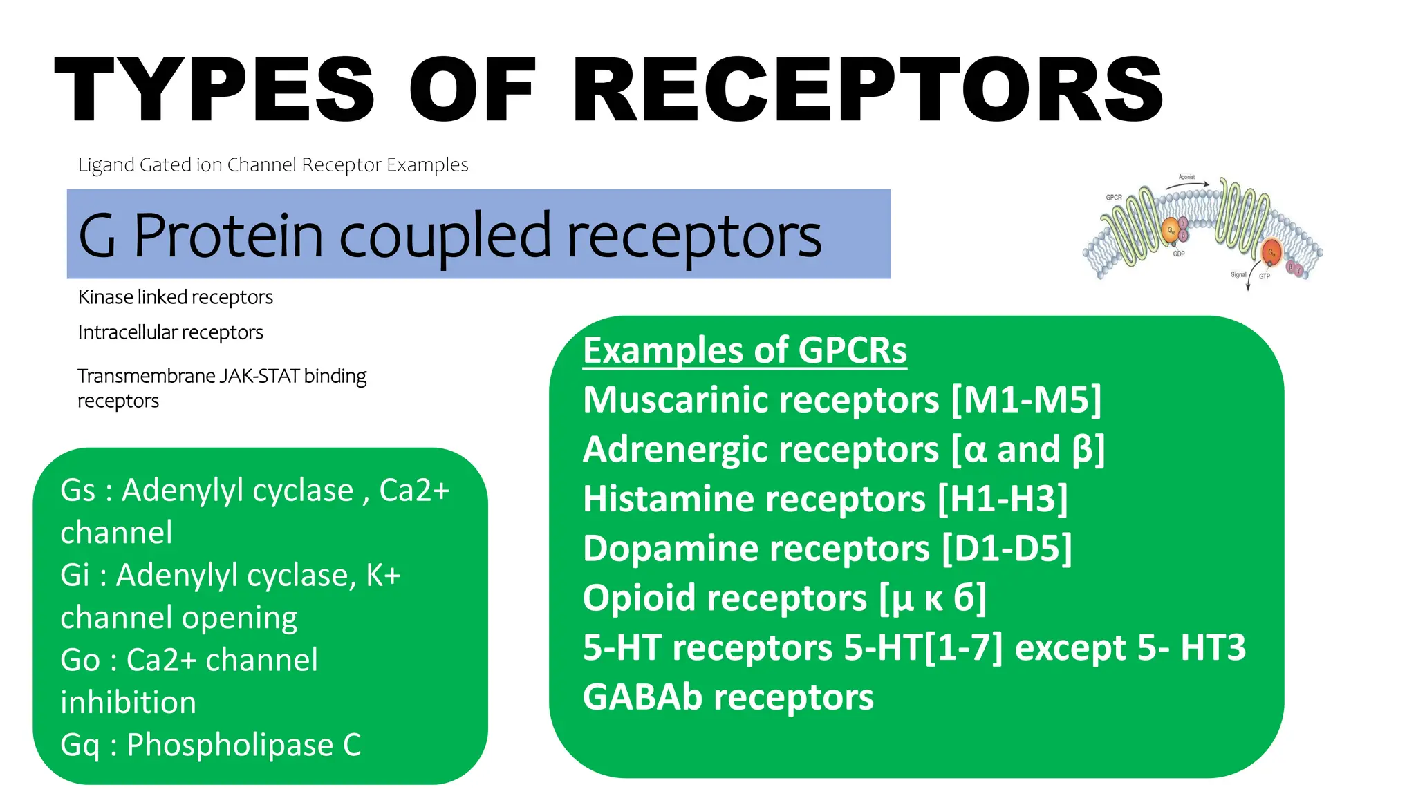 TYPES OF RECEPTORS
Ligand Gated ion Channel Receptor Examples
G Protein coupled receptors
Kinase linked receptors
Intracellular receptors
Examples of GPCRs
Muscarinic receptors [M1-M5]
Adrenergic receptors [α and β]
Histamine receptors [H1-H3]
Dopamine receptors [D1-D5]
Opioid receptors [μ κ б]
5-HT receptors 5-HT[1-7] except 5- HT3
GABAb receptors
Transmembrane JAK-STAT binding
receptors
Gs : Adenylyl cyclase , Ca2+
channel
Gi : Adenylyl cyclase, K+
channel opening
Go : Ca2+ channel
inhibition
Gq : Phospholipase C
 