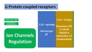 G Protein coupled receptors
Adenyl cyclase- cAMP
Phospholipase-C-
inositol phosphate
Ion Channels
Regulation
K+ opening
Adrenergic-
α2
Muscarinic-
M2
Dopamine-D2
5-HT1A
GABAB
Opioid-µ, δ
Adenosine-A
Ca2+ closing
Dopamine-D2
GABAB
Opioid-κ
Adenosine-A1
Somatostatin
Ca2+ opening
Adrenergic-
β1
 