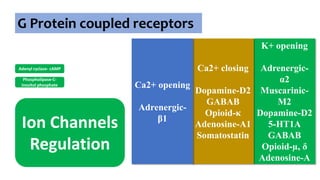 G Protein coupled receptors
Adenyl cyclase- cAMP
Phospholipase-C-
inositol phosphate
Ion Channels
Regulation
K+ opening
Adrenergic-
α2
Muscarinic-
M2
Dopamine-D2
5-HT1A
GABAB
Opioid-µ, δ
Adenosine-A
Ca2+ closing
Dopamine-D2
GABAB
Opioid-κ
Adenosine-A1
Somatostatin
Ca2+ opening
Adrenergic-
β1
 