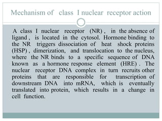 Nr Function Receptor ppt by kashikant yadav | PPTX
