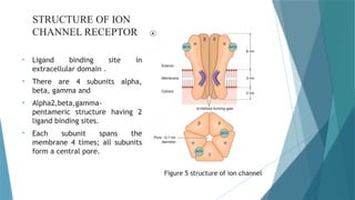 Brief view on receptor and classification | PPTX