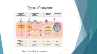 Brief view on receptor and classification | PPTX