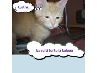 Recept za cheese cake