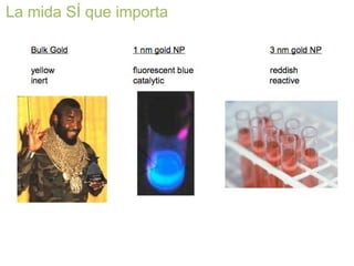 La mida SÍ que importa  
