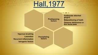 Predisposing
factors
Inadequate attached
gingiva
Malpositioning of teeth
Osseous dehiscence or
thin facial plate
Precipitating
factors
Vigorous brushing
Laceration
Recurrent inflammation
Iatrogenic factors
 