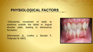 PHYSIOLOGICAL FACTORS
Orthodontic movement of teeth to
positions outside the labial or lingual
alveolar plate, leading to dehiscence
formation.
[Wennström JL, Lindhe J, Sinclair F,
Thilander B-1987].
 