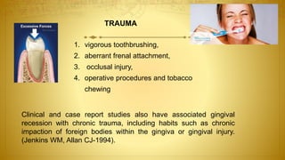 TRAUMA
1. vigorous toothbrushing,
2. aberrant frenal attachment,
3. occlusal injury,
4. operative procedures and tobacco
chewing
Clinical and case report studies also have associated gingival
recession with chronic trauma, including habits such as chronic
impaction of foreign bodies within the gingiva or gingival injury.
(Jenkins WM, Allan CJ-1994).
 