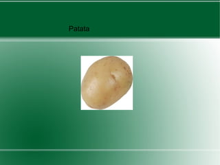 Patata 