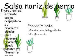 Ingredientes:
o Jitomate
guajes
despepitado
s y
finamente
picados
o Chile
habanero
finamente
picado
o Cilantro
finamente
Salsa nariz de perro
Procedimiento:
oMezclar todos los ingredientes
oRectificar sazón
 