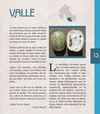 A veces pienso que el solar jujeño es 
un sueño largo donde se juntan todas 
las promesas que la vida encierra, 
donde la tierra es asáz fecunda, tanto 
como bella, donde la quena le regala 
al viento su canto de amor. 
Donde Ledesma es un lago verde con 
dulzor a caña, donde en Perico las 
manos labriegas se han vuelto taba-co, 
donde la Puna entre los tolares 
juegan las vicuñas, como el celaje 
que tiene la Puna en el mundo no hay. 
Jujuy: eres historia, eres leyenda, 
eres canción. Jujuy: eres belleza, eres 
color. Los cerros, los pueblos, los va-lles 
que hay en tus quebradas, un án-gel 
que bajo” del cielo fue el que los 
pintó. 
Jujuy eres la flor de un lapacho, de 
un cardón. Jujuy: eres la voz con un 
poema de Galán. Tus selvas petrole-ras 
cubren de blancos azahares y el 
canto del minero vibra en el socavón. 
¡Jujuy! Así es Jujuy 
Jorge Chagra 
La cordillera Oriental posee 
dos encadenamientos mon-tañosos 
con rumbo norte 
sur, separados por valles y que-bradas. 
Los Valles jujeños son 
amplios y de pendientes suaves, 
tienen clima subtropical que fa-vorece 
el desarrollo agricultura 
comercial, especializada en la 
producción de tabaco, cítricos y 
caña de azúcar, estos son los prin-cipales 
centros económicos de la 
región. El valle que más se desta-ca 
es el Valle de San Salvador de 
Jujuy, donde está asentada la ciu-dad 
capital. 
VALLE 
13 
 
