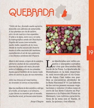 19 
QUEBRADA 
“Cáliz de luz, fecundo sueño agrario, 
doncella con alforjas de esmeralda. 
A tus plantas un río de salitre, 
otro río de cuarzo a tus espaldas. 
Y allá a lo lejos, entre vos y el cielo, 
la hidrográfica senda del Huichaira. 
Pupila del ocaso interminable, 
sueño indio, sepulcro de la raza. 
Desde la noche oscura del Incario 
hasta el alba naciente del mañana, 
custodiarán el sol de tus umbrales 
y los eñestos cardones del Pucará. 
Matriz del viento, origen de la sombra, 
ofertorio otoñal de las calandrias, 
duerme la siesta del maíz fecundo 
sobre el tálamo gris de tus pisadas 
hasta que el hombre de la mano ruda 
abra en surcos la paz de tus entrañas. 
Abre tus brazos al rosal latino, 
no levantes ni cercos ni murallas. 
Que tus mollares le den sombra y abrigo 
al criollo, al europeo y al aimara, 
y que lleven tu nombre por el mundo, 
muchacha azul, princesa americana. 
Jorge Chagra 
Las Quebradas son valles an-gostos 
y alargados surcados 
por ríos que descienden del 
borde de la Puna. La Quebrada de 
Humahuaca es la más importan-te, 
está recorrida por el río Gran-de 
de Jujuy. Casi todos sus pue-blos 
se encuentran alrededor de 
la Ruta Nacional N° 9. Las laderas 
de los cerros poseen escasas vege-taciones 
y colores vívidos como el 
cerro de los Siete Colores en Pur-mamarca 
o la Paleta del Pintor en 
Maimará. Los cultivos caracterís-ticos 
de la zona son el Yacón, el 
maíz, la quinua y los ollucos. 
 