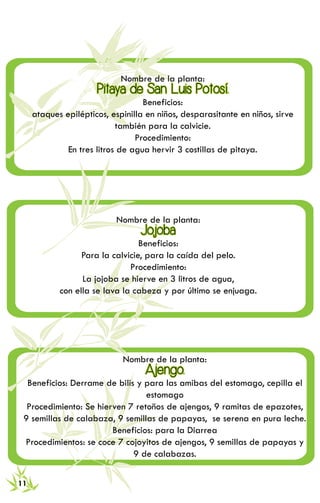 RECETARIO DE MEDICINA TRADICIONAL 