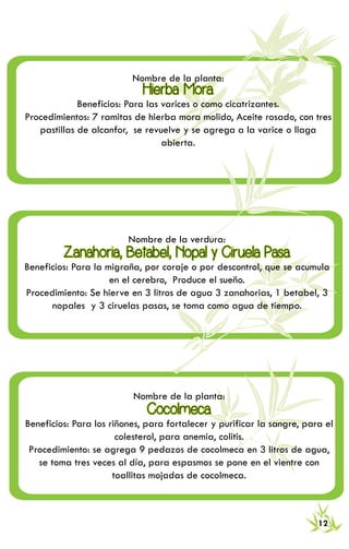 RECETARIO DE MEDICINA TRADICIONAL 