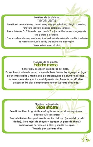 RECETARIO DE MEDICINA TRADICIONAL 