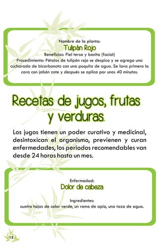 RECETARIO DE MEDICINA TRADICIONAL 