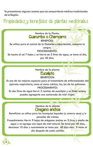 RECETARIO DE MEDICINA TRADICIONAL 