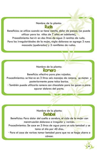 RECETARIO DE MEDICINA TRADICIONAL 