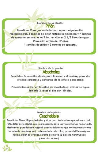 RECETARIO DE MEDICINA TRADICIONAL 