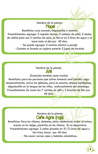 RECETARIO DE MEDICINA TRADICIONAL 