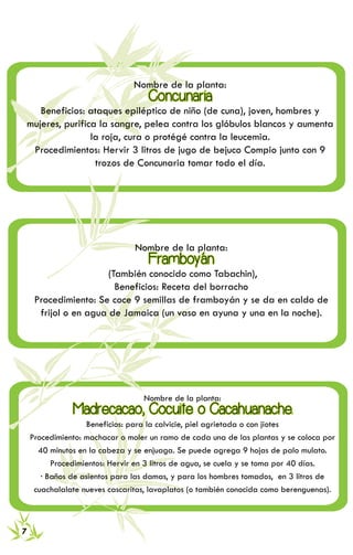 RECETARIO DE MEDICINA TRADICIONAL 