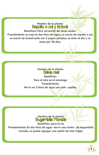 RECETARIO DE MEDICINA TRADICIONAL 