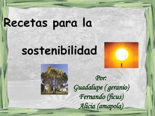 Recetas para la  sostenibilidad Por: Guadalupe ( geranio) Fernando (ficus) Alicia (amapola) 