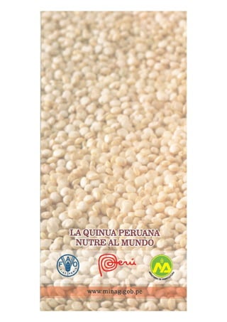 Recetas a base de quinua