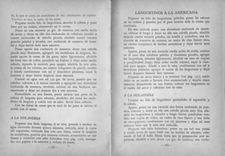 Recetas de doña petrona