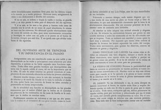 Recetas de doña petrona