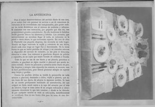 Recetas de doña petrona