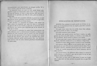 Recetas de doña petrona