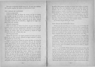 Recetas de doña petrona