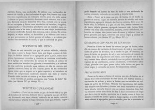 Recetas de doña petrona