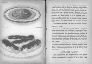 Recetas de doña petrona