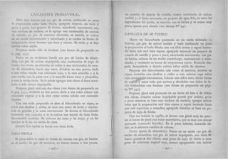 Recetas de doña petrona