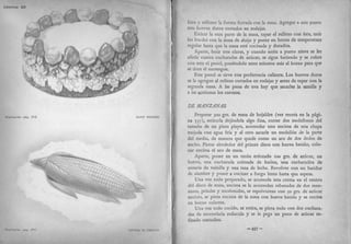 Recetas de doña petrona